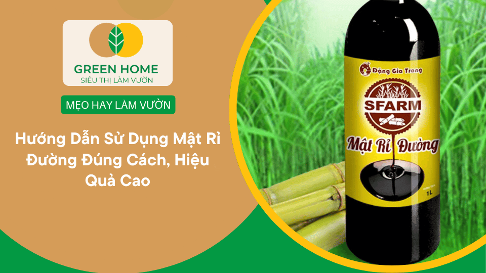 Hướng Dẫn Sử Dụng Mật Rỉ Đường Đúng Cách, Hiệu Quả Cao缩略图