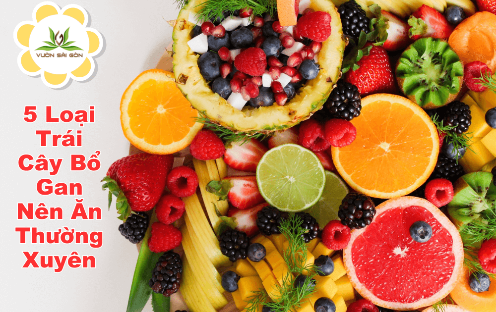 5 Loại Trái Cây Bổ Gan Nên Ăn Thường Xuyên缩略图