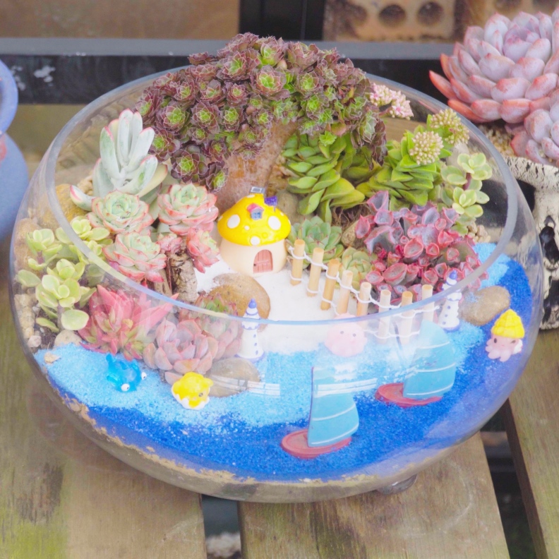 Tự trồng tiểu cảnh sen đá: hướng dẫn cụ thể cho từng loại chậu缩略图 Tự trồng tiểu cảnh sen đá: hướng dẫn cụ thể cho từng loại chậu缩略图