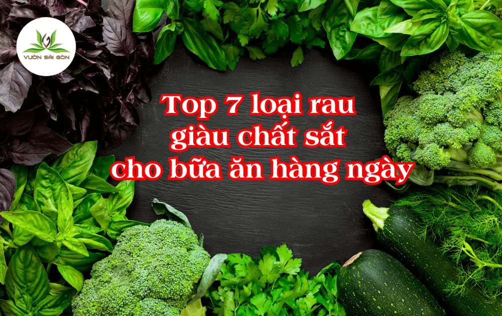Top 7 loại rau giàu chất sắt cho bữa ăn hàng ngày缩略图