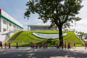 Cây xanh trường học: Gợi ý 15+ loại cây & cách chăm sóc缩略图