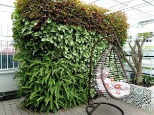 Tổng hợp mẫu vườn đứng đẹp, hiện đại, dễ thi công缩略图