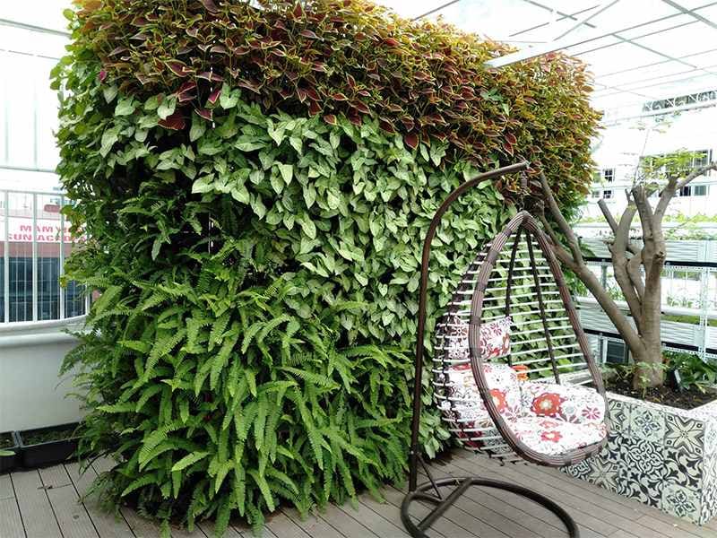 Tổng hợp mẫu vườn đứng đẹp, hiện đại, dễ thi công缩略图 Tổng hợp mẫu vườn đứng đẹp, hiện đại, dễ thi công缩略图