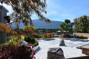 Tham khảo những mẫu vườn Zen đẹp, chuẩn phong thủy cho không gian sống缩略图