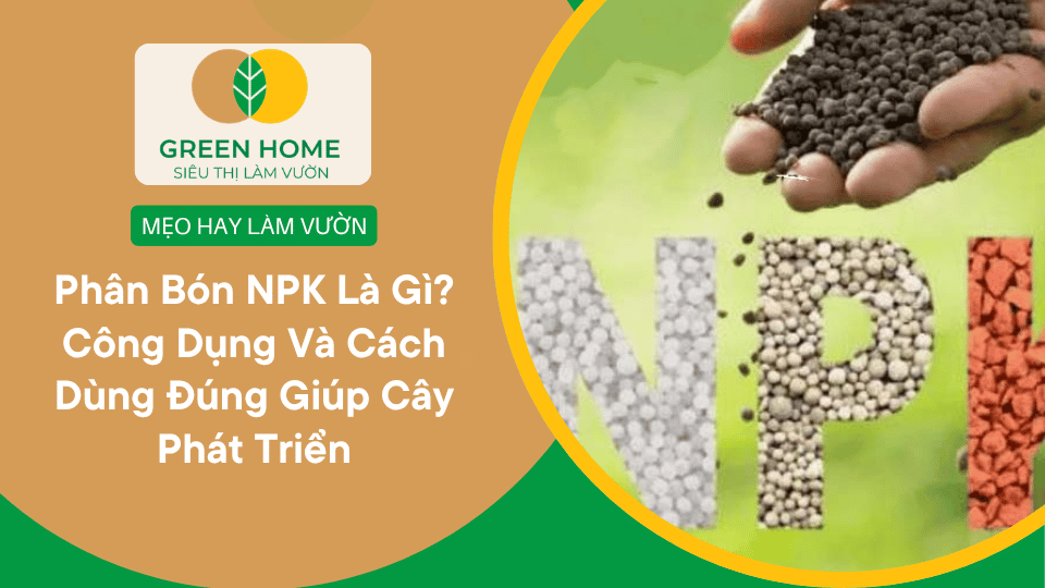 Phân Bón NPK Là Gì? Công Dụng Và Cách Dùng Đúng Giúp Cây Phát Triển Tối Ưu缩略图 Phân Bón NPK Là Gì? Công Dụng Và Cách Dùng Đúng Giúp Cây Phát Triển Tối Ưu缩略图