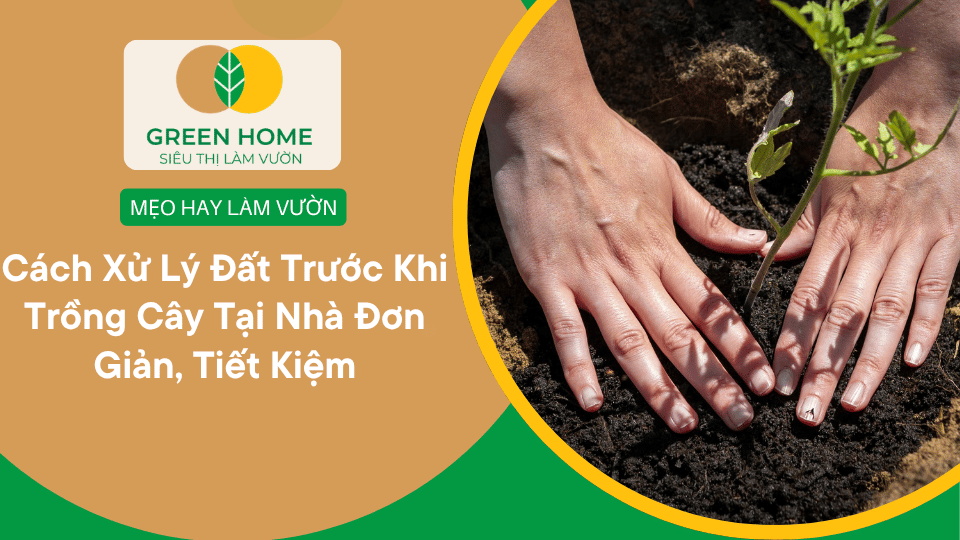 Hướng Dẫn Cách Xử Lý Vỏ Thông Trước Khi Trồng Lan Giúp Rễ Bám Nhanh – Không Lo Nấm Bệnh缩略图