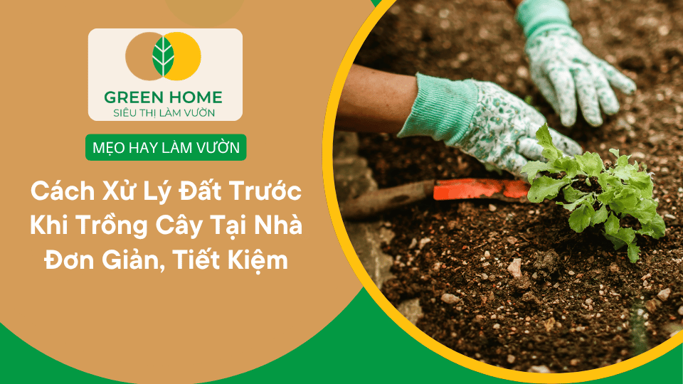 Cách Xử lý Đất Trước Khi Trồng Rau Giúp Cây Phát Ttriển Khỏe Mạnh Và Tiết Kiệm Chi Phí缩略图