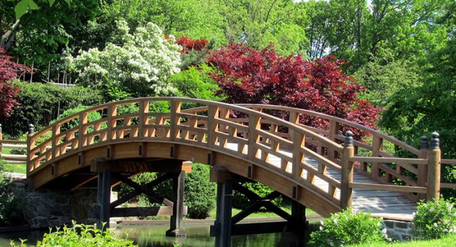 Tham khảo những mẫu cầu gỗ sân vườn đẹp, ấn tượng nhất hiện nay缩略图