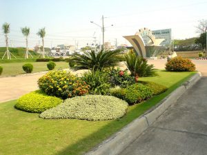 Thi công cảnh quan nhà máy hiệu quả, đúng tiêu chuẩn缩略图