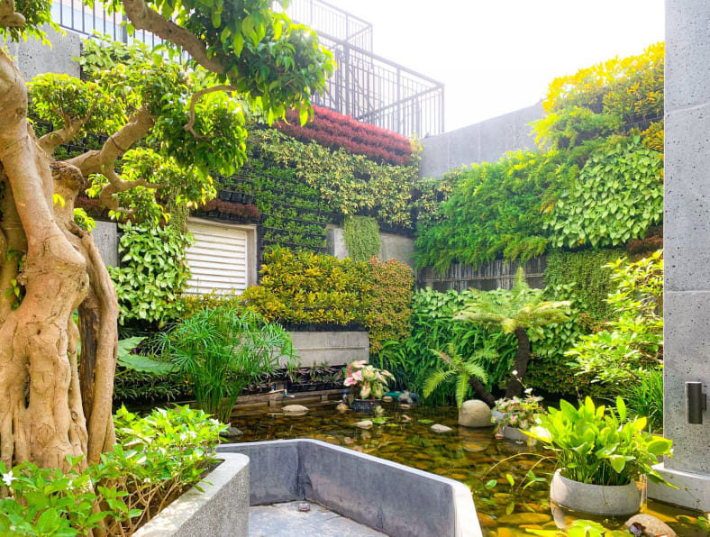Gợi ý những ý tưởng trang trí vách tường sân vườn đẹp, sáng tạo缩略图
