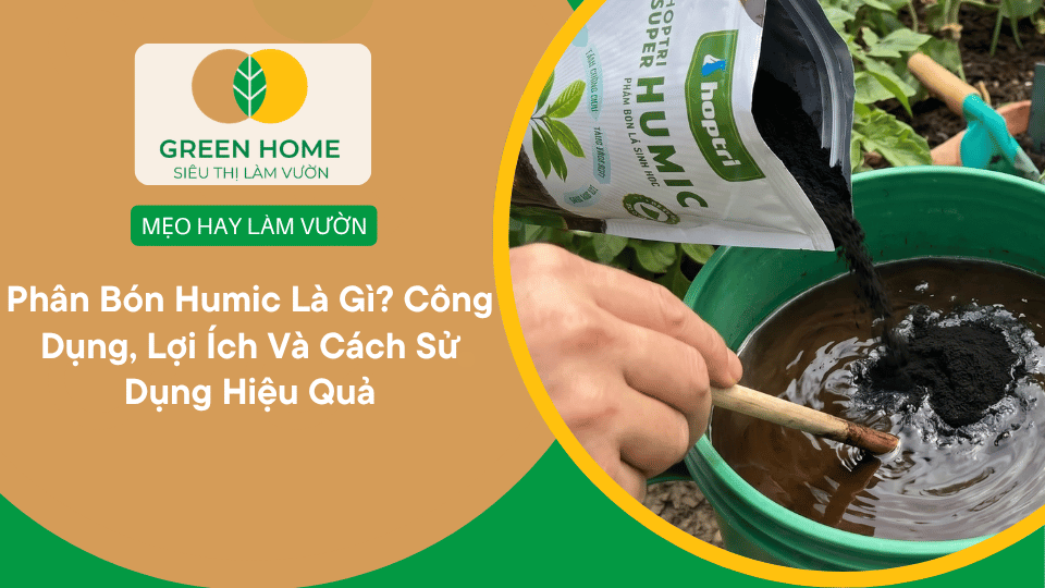Phân Bón Humic Là Gì? Công Dụng, Lợi Ích Và Cách Sử Dụng Hiệu Quả Cho Cây Trồng缩略图