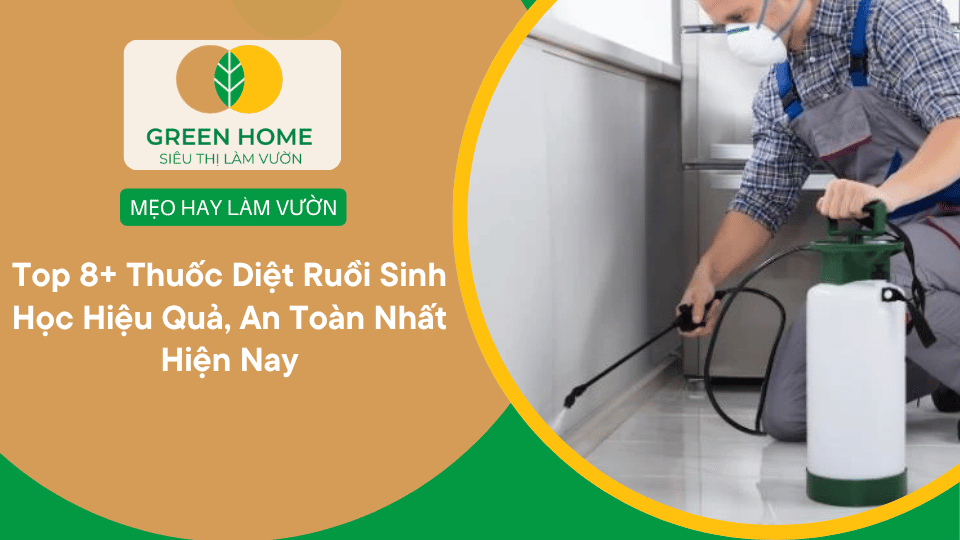 Top 8+ Thuốc Diệt Ruồi Sinh Học Hiệu Quả, An Toàn Nhất Hiện Nay缩略图