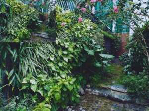 Thi công tiểu cảnh sân vườn Hải Phòng chuẩn đẹp, bền缩略图