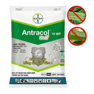 Thuốc Trừ Bệnh Antracol 70WP, Gói 100gr缩略图