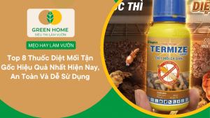 Top 8 Thuốc Diệt Mối Tận Gốc Hiệu Quả Nhất Hiện Nay, An Toàn Và Dễ Sử Dụng缩略图