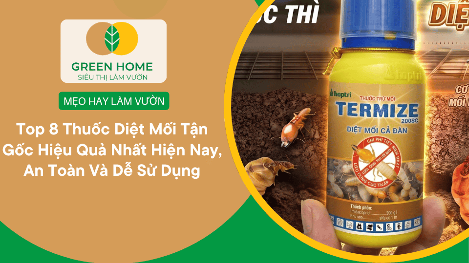 Top 8 Thuốc Diệt Mối Tận Gốc Hiệu Quả Nhất Hiện Nay, An Toàn Và Dễ Sử Dụng缩略图