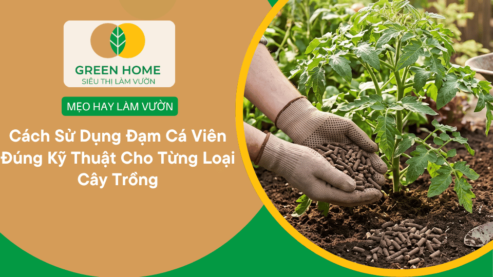 Cách Sử Dụng Đạm Cá Viên Đúng Kỹ Thuật Cho Từng Loại Cây Trồng缩略图