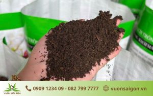 Cách Chọn Đất Trồng Rau Sạch Phù Hợp Từng Loại Cây Chuẩn Kỹ Thuật缩略图