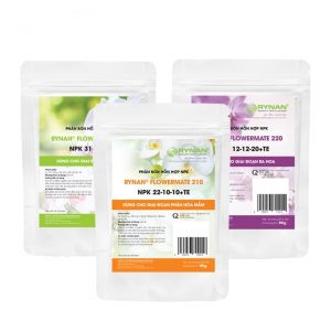 Combo Bộ 3 Phân Tan Chậm Rynan Chuyên Dùng Cho Lan, Túi 90g缩略图