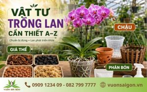Vật Tư Trồng Lan Cần Thiết: Giá Thể, Chậu, Phân Bón A-Z缩略图