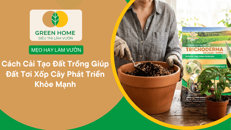 Cách Cải Tạo Đất Trồng Giúp Đất Tơi Xốp Cây Phát Triển Khỏe Mạnh缩略图