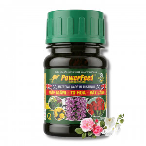 Phân Cá Hữu Cơ PowerFeed 100ml缩略图